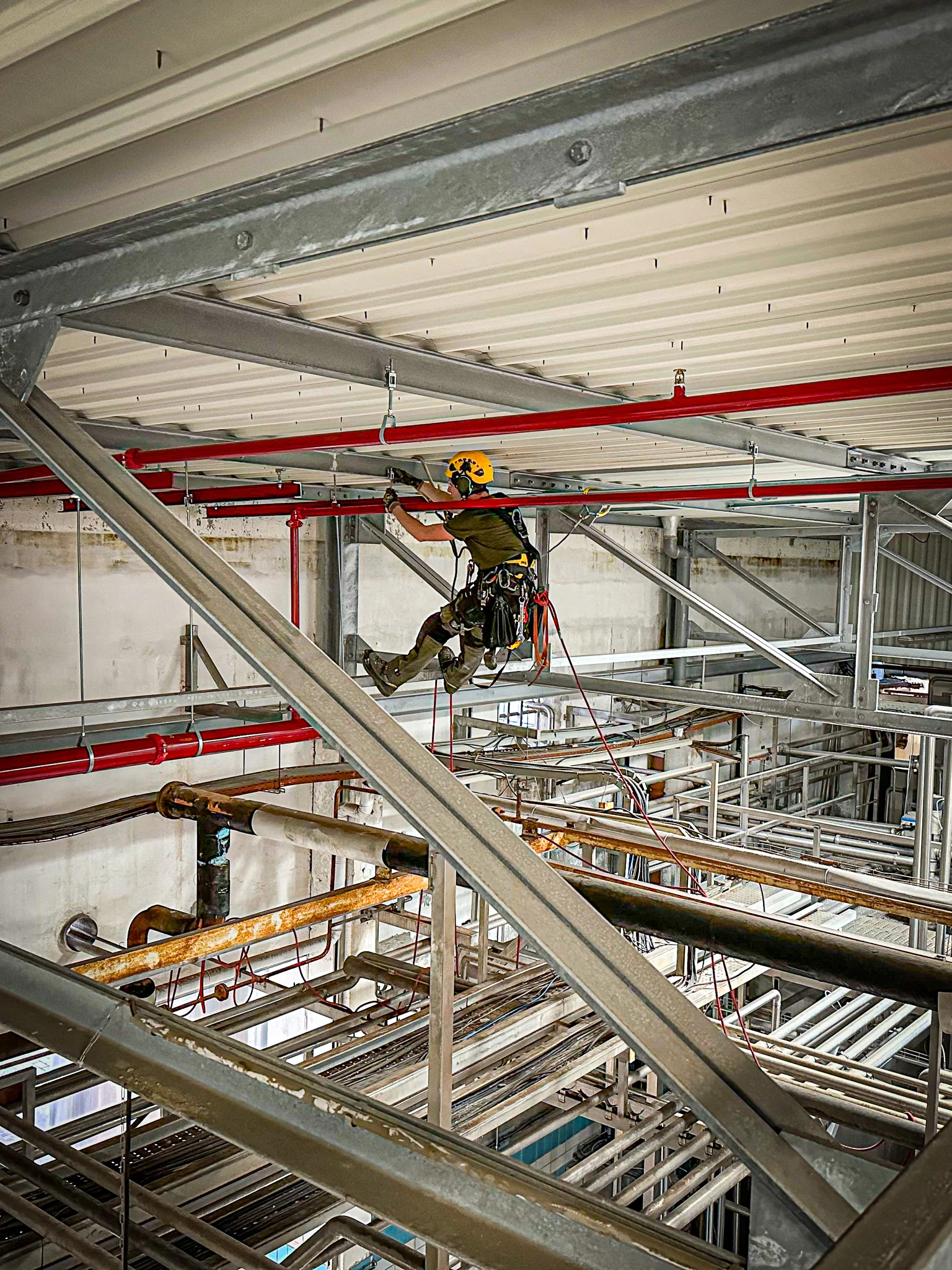 Intervention de cordistes MS Access pour sprinklers en pleine production chez AAI VIELLE ST GIRONS à Toulouse (industrie) – 2